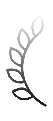 Left Icon