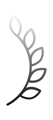 Right Icon